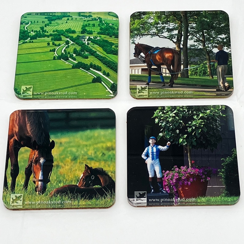 Pin Oak Stud Coaster Set of 4 Multicolor Horse Equestrian Photography Acrylic